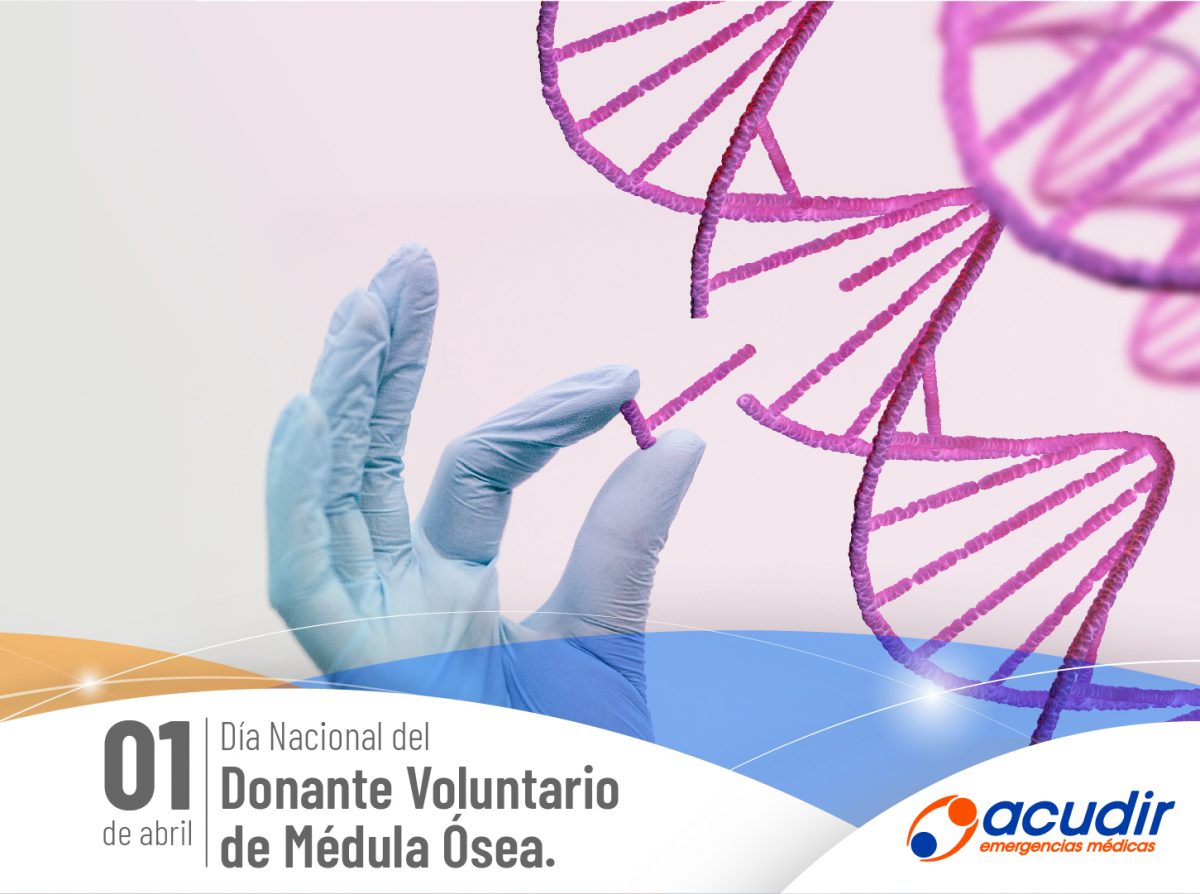 01-04-Dia-Nacional-del-Donante-Voluntario-de-Medula-Osea_WEB-1200x894.jpg