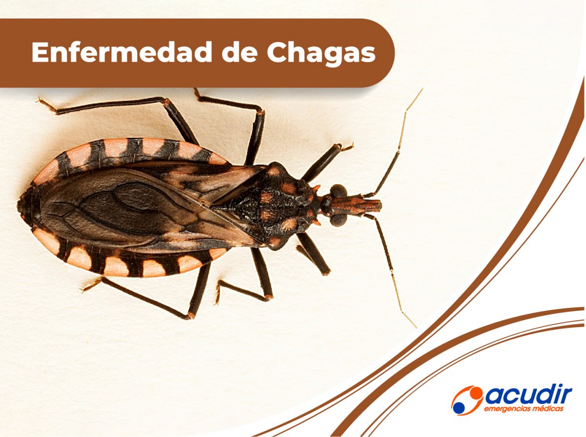 14-04-Chagas_WEB-1200x894.jpg