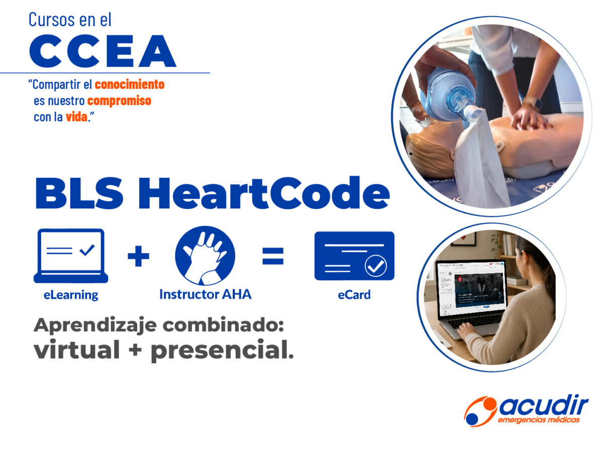 14-05-BLS-Heartcode_WEB-1200x894.jpg