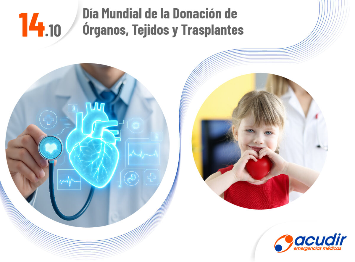 14-10-Dia-Mundial-de-la-Donacion-de-Organos-Tejidos-y-Trasplantes_WEB-1200x885.jpg