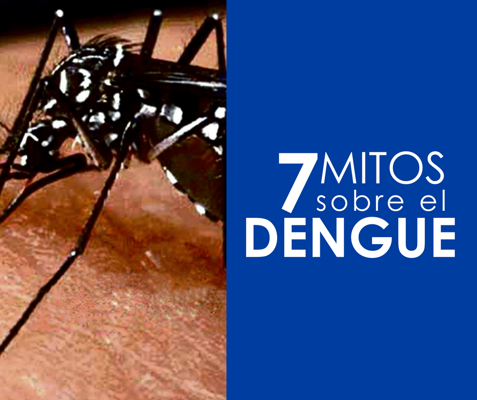 MITOS-DENGUE.png