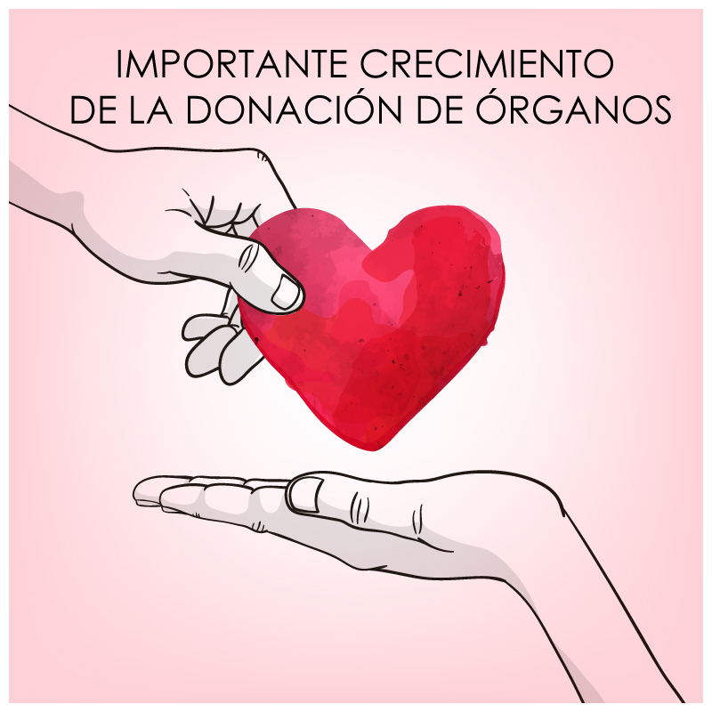 donacion-de-organos.jpg