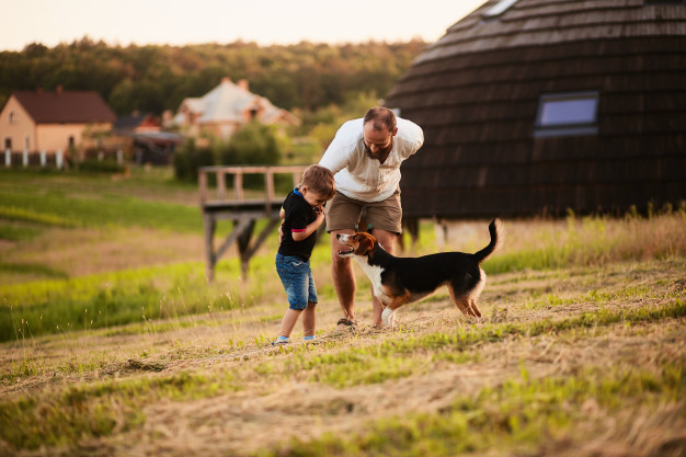 el-hombre-juega-con-su-hijo-y-un-perro-en-el-campo_8353-7738.jpg