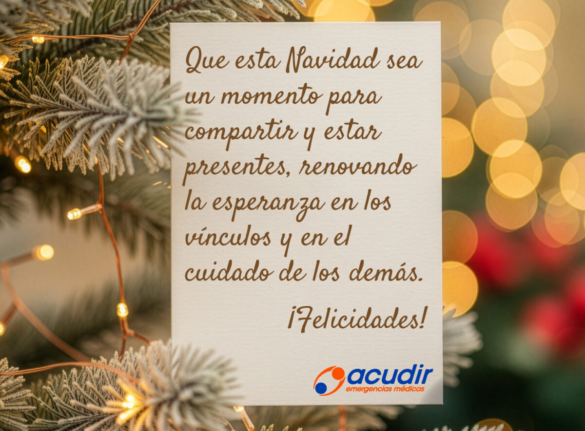 25-12-Navidad_WEB-1200x885.jpg
