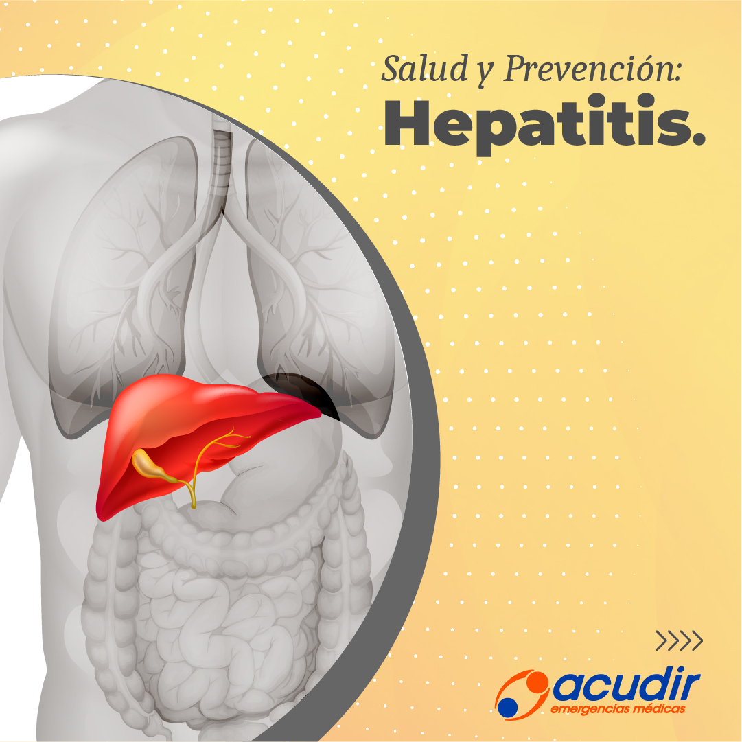 28-07-Hepatitis_IG-1-1.jpg