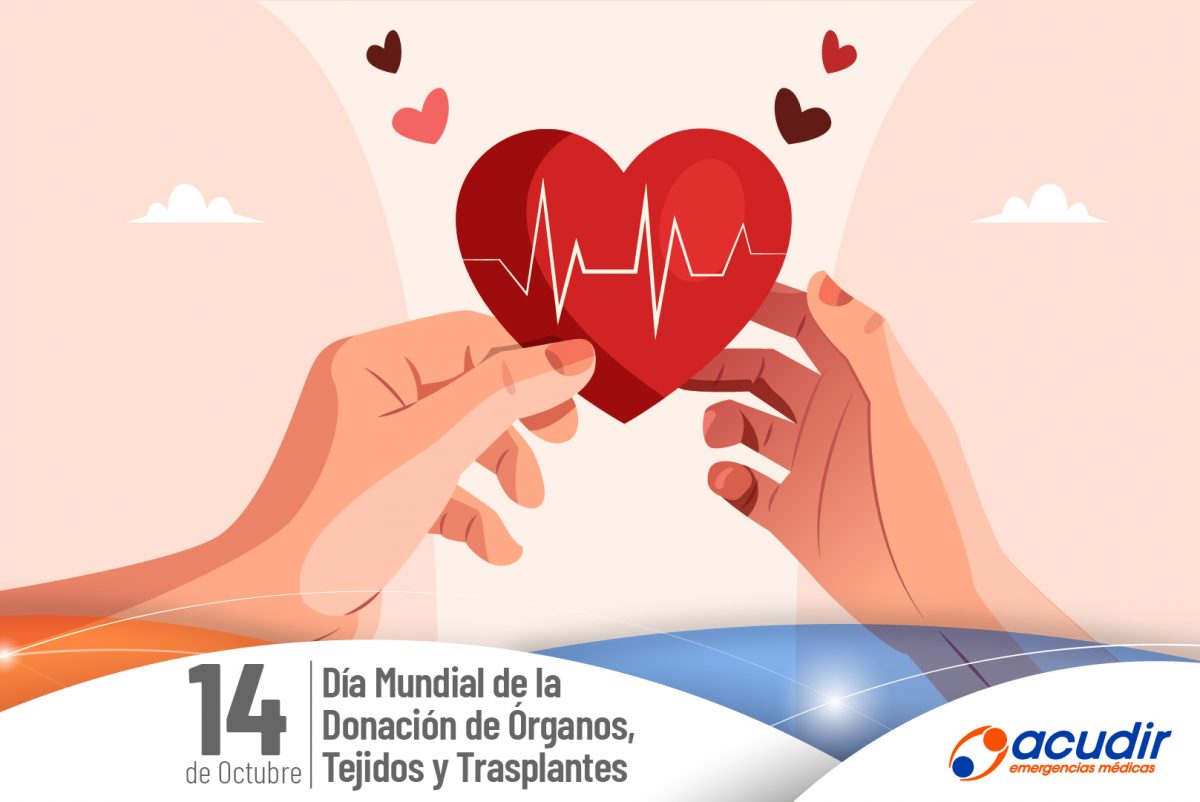 Dia-Mundial-de-la-Donacion-de-Organos-y-Tejidos_WEB-1200x802.jpg