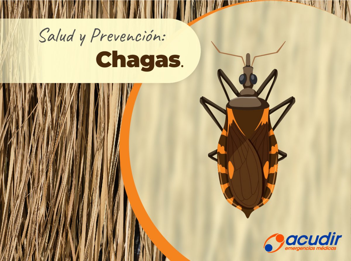 Prevencion-Chagas_WEB-1200x894.jpg