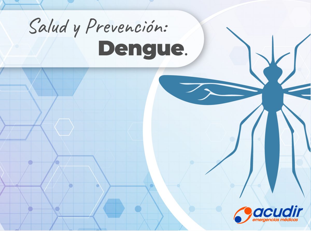 Prevencion-Dengue_WEB-1200x894.jpg